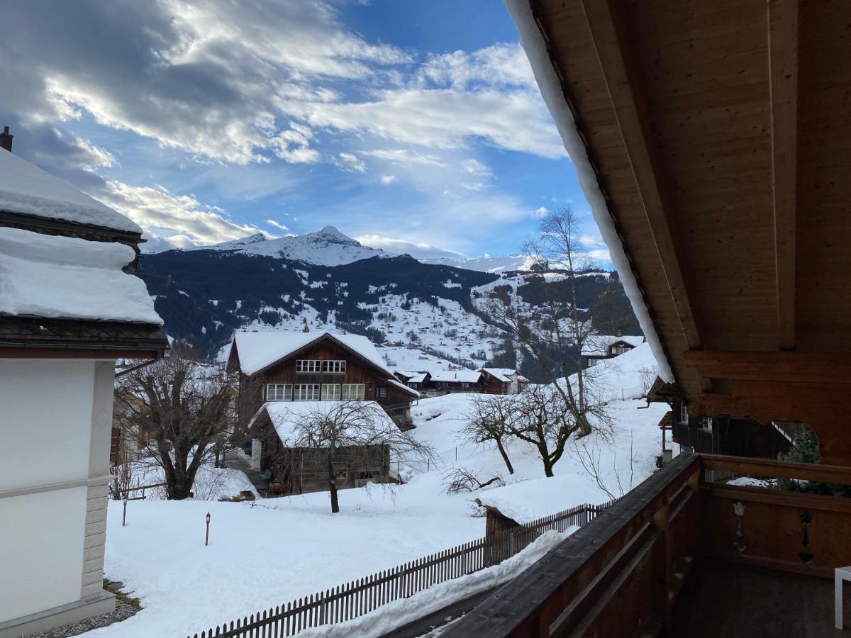 شقة جريندلوالد  في Chalet Elizabeth المظهر الخارجي الصورة